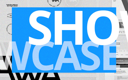 (Branding) FWA showcase